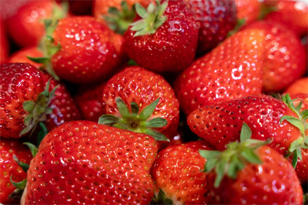 清流が流れる森のキャンプリゾート 清流が流れる森のキャンプリゾート