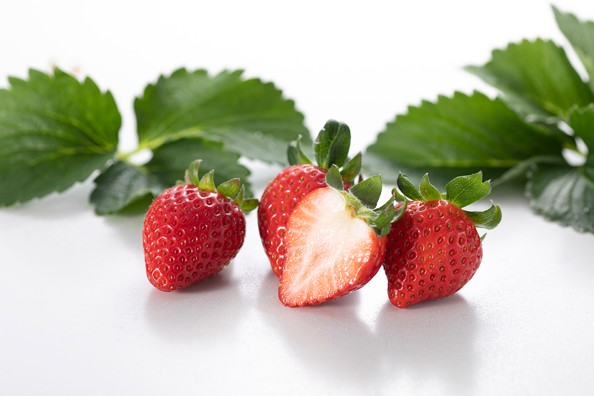 いちご狩りプラン受付中🍓